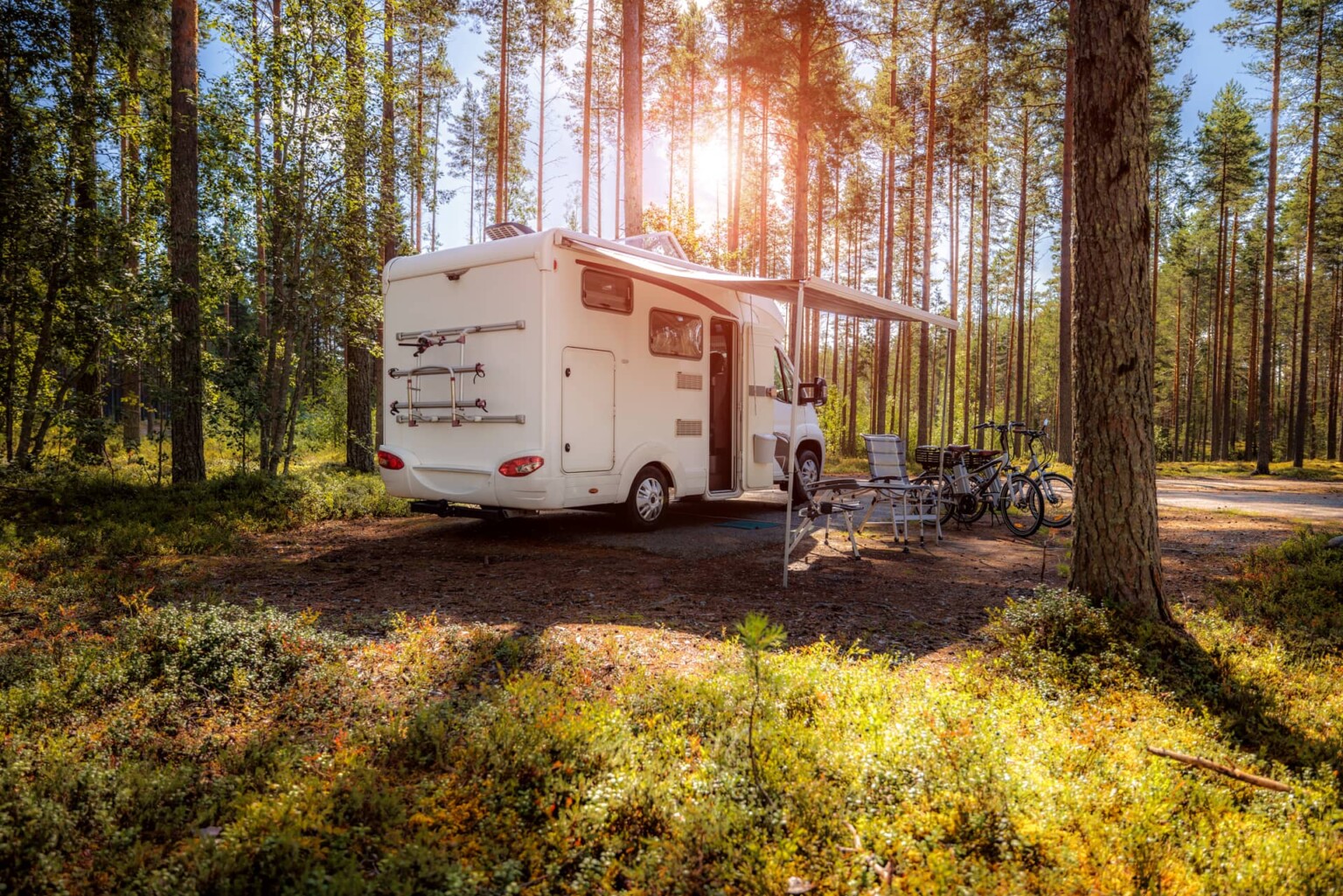 Bookingvans - Sedes