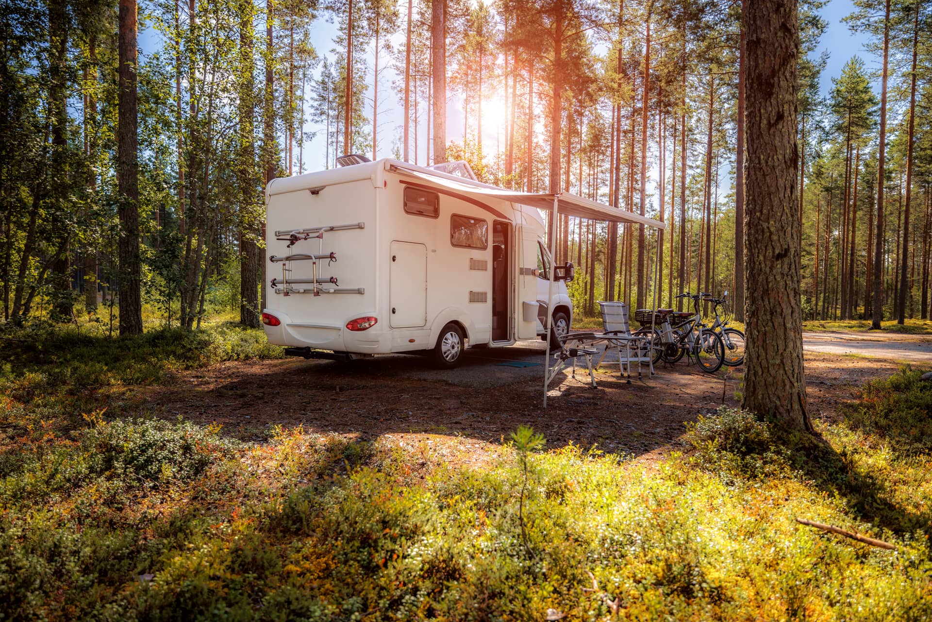 Bookingvans - Sedes